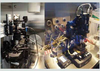 AFM – Microscope à Force Atomique