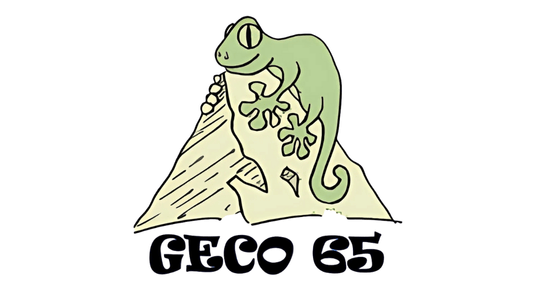 Congrès GECO 65