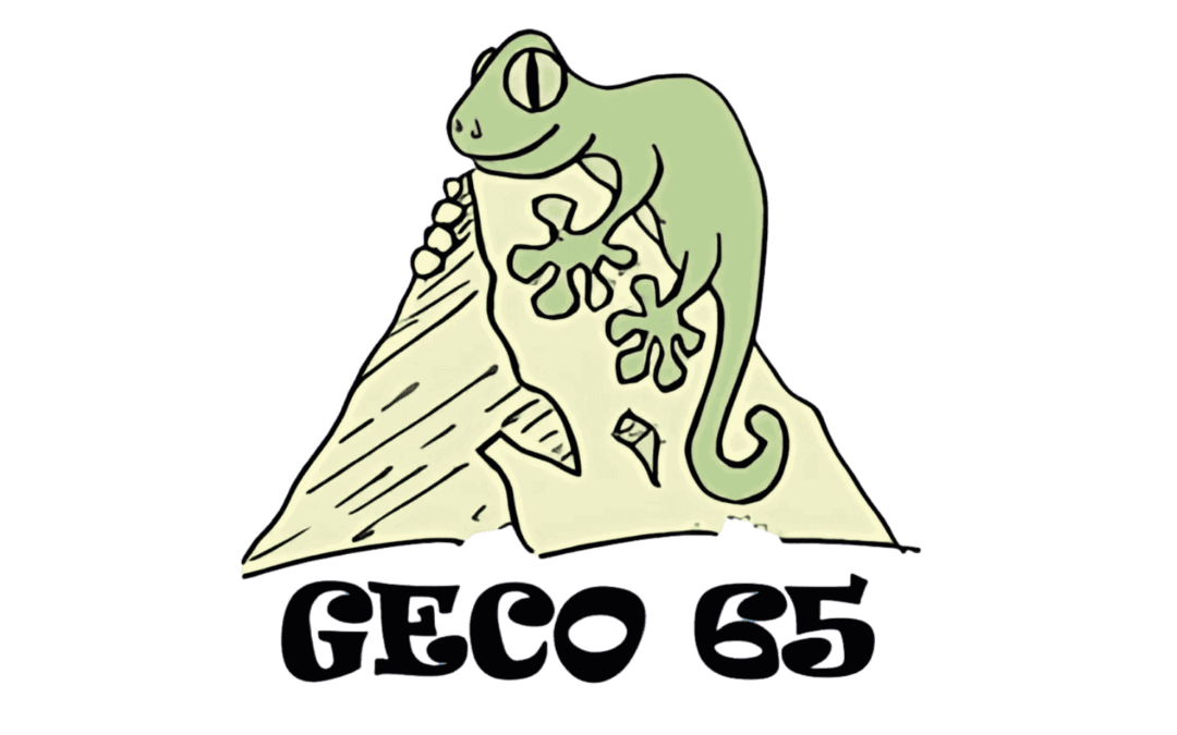 Congrès GECO 65