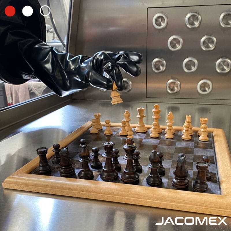Journée mondiale des échecs